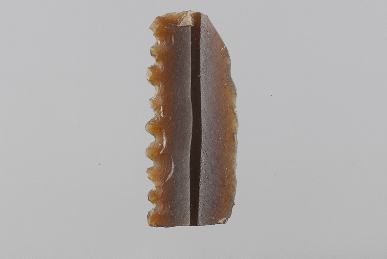 47 Diente de hoz (Ãšbeda, JaÃ©n)